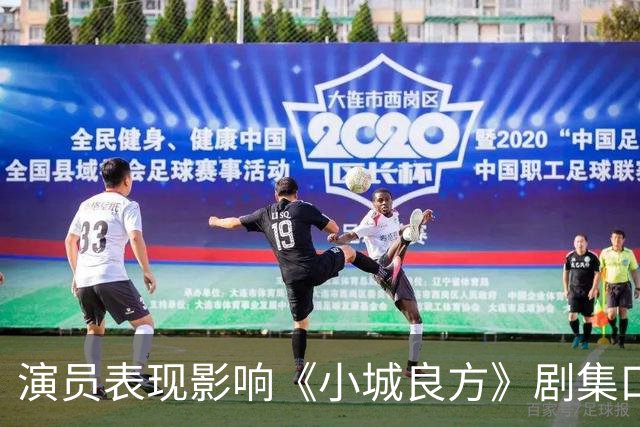 演员表现影响《小城良方》剧集口碑的因素分析