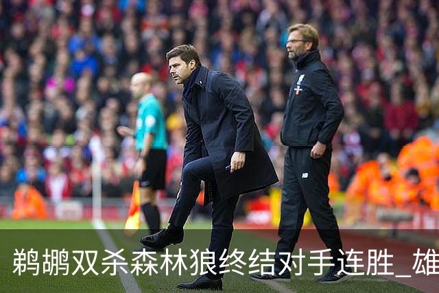 鹈鹕双杀森林狼终结对手连胜 雄鹿艰难击败公牛